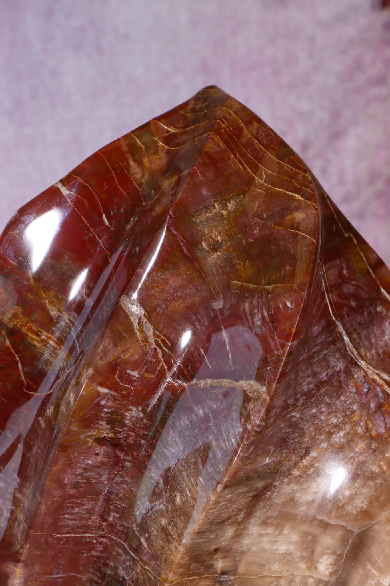 Petrified Wood Flame | XL Statement Piece | Madagascar Flame Tali & Loz Crystals