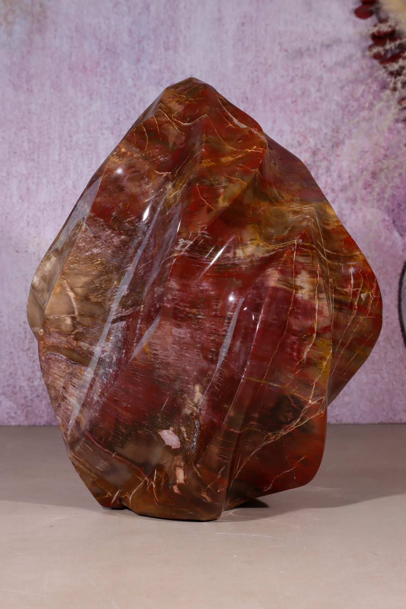 Petrified Wood Flame | XL Statement Piece | Madagascar Flame Tali & Loz Crystals