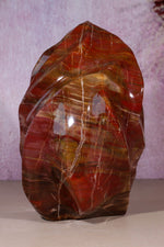 Petrified Wood Flame | XL Statement Piece | Madagascar Flame Tali & Loz Crystals