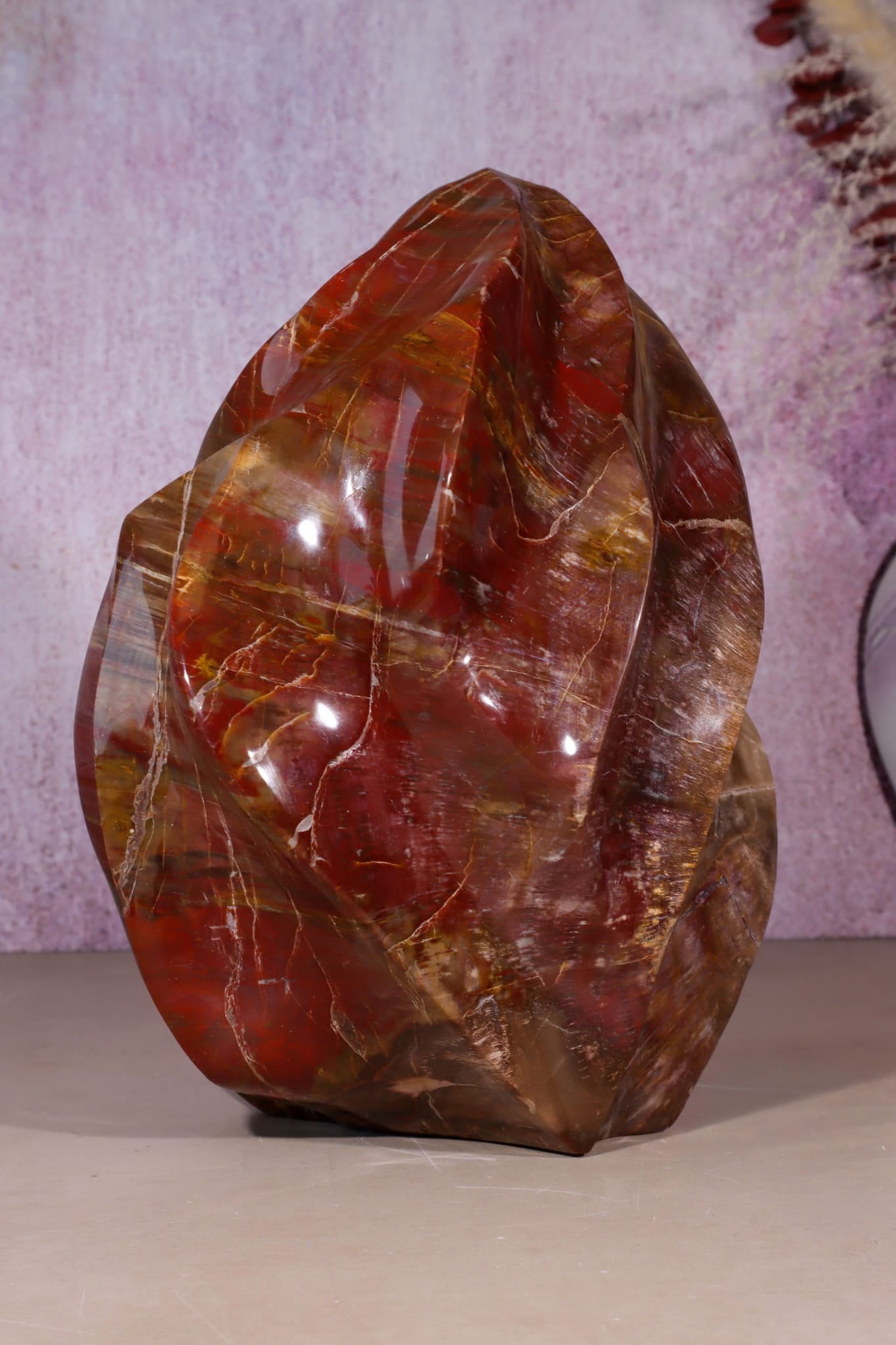 Petrified Wood Flame | XL Statement Piece | Madagascar Flame Tali & Loz Crystals