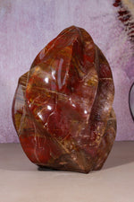 Petrified Wood Flame | XL Statement Piece | Madagascar Flame Tali & Loz Crystals