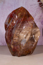 Petrified Wood Flame | XL Statement Piece | Madagascar Flame Tali & Loz Crystals