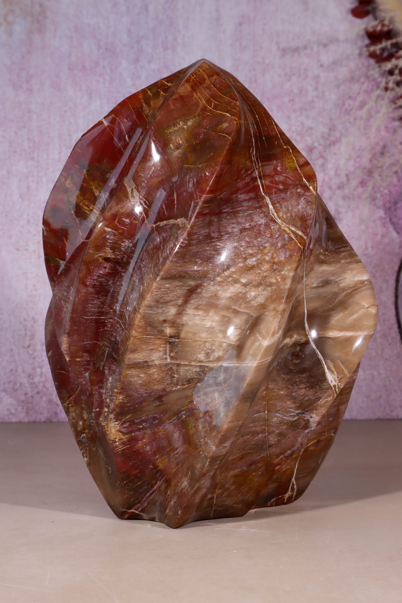 Petrified Wood Flame | XL Statement Piece | Madagascar Flame Tali & Loz Crystals