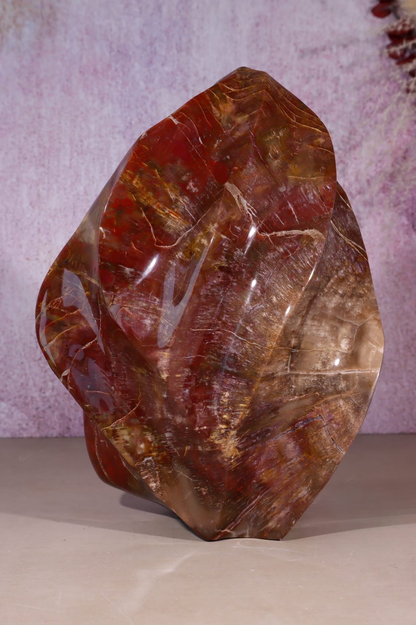 Petrified Wood Flame | XL Statement Piece | Madagascar Flame Tali & Loz Crystals