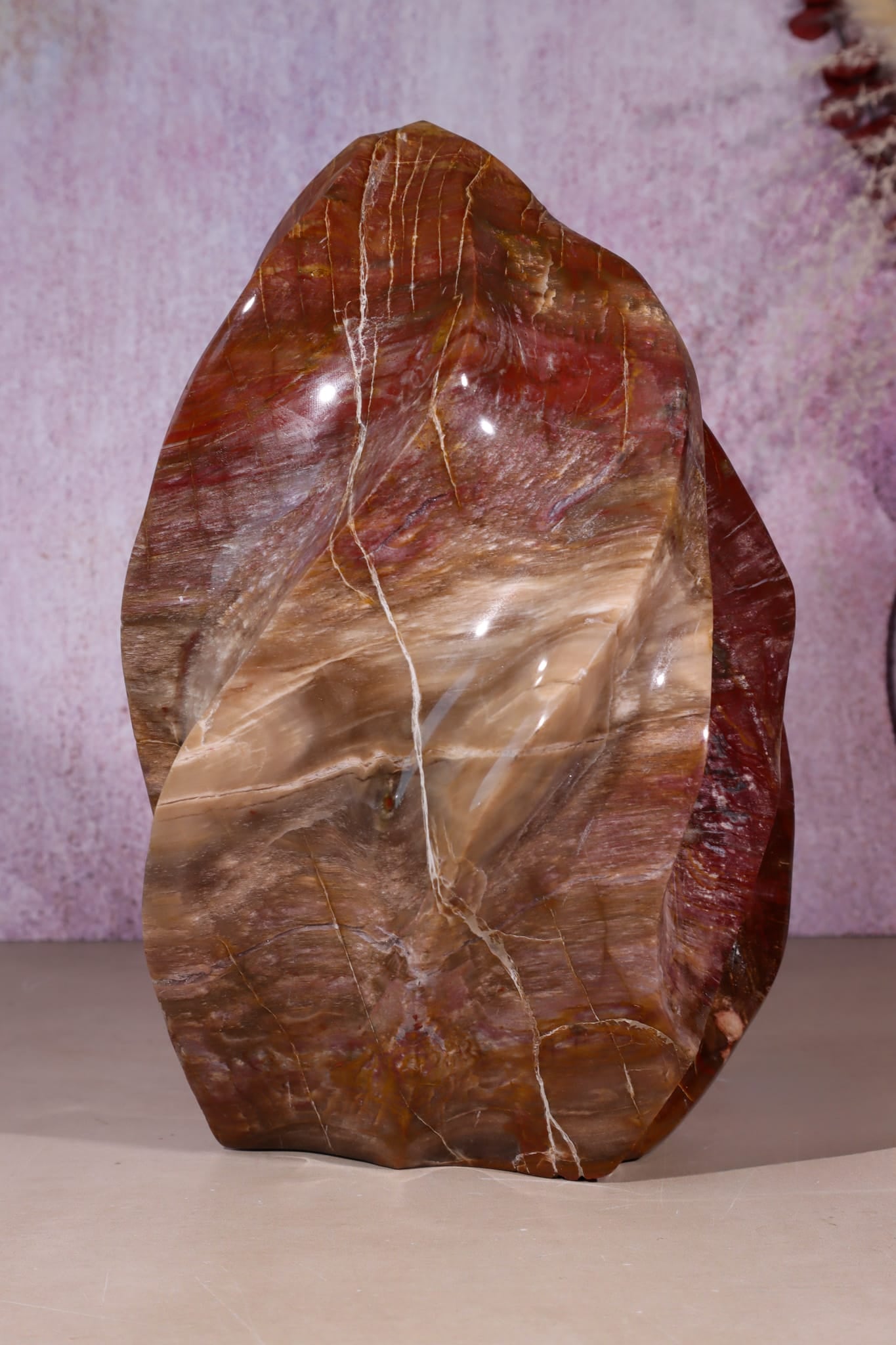 Petrified Wood Flame | XL Statement Piece | Madagascar Flame Tali & Loz Crystals
