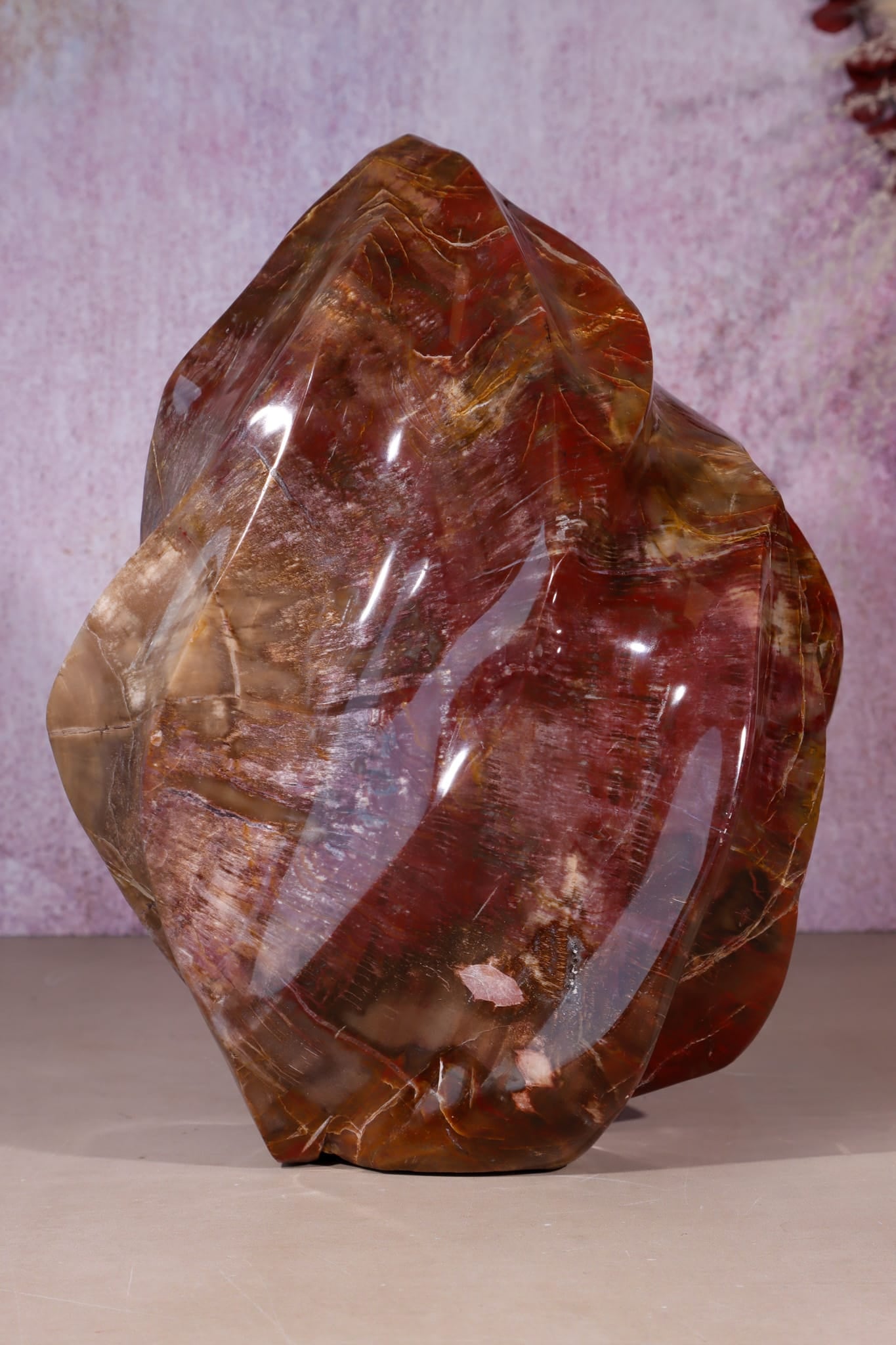 Petrified Wood Flame | XL Statement Piece | Madagascar Flame Tali & Loz Crystals