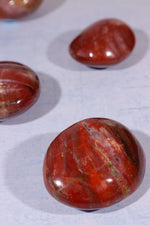 Petrified Wood Pebbles Large 80gr Pebbles Tali & Loz Crystals