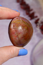 Petrified Wood Pebbles Large 80gr Pebbles Tali & Loz Crystals