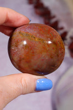 Petrified Wood Pebbles Large 80gr Pebbles Tali & Loz Crystals