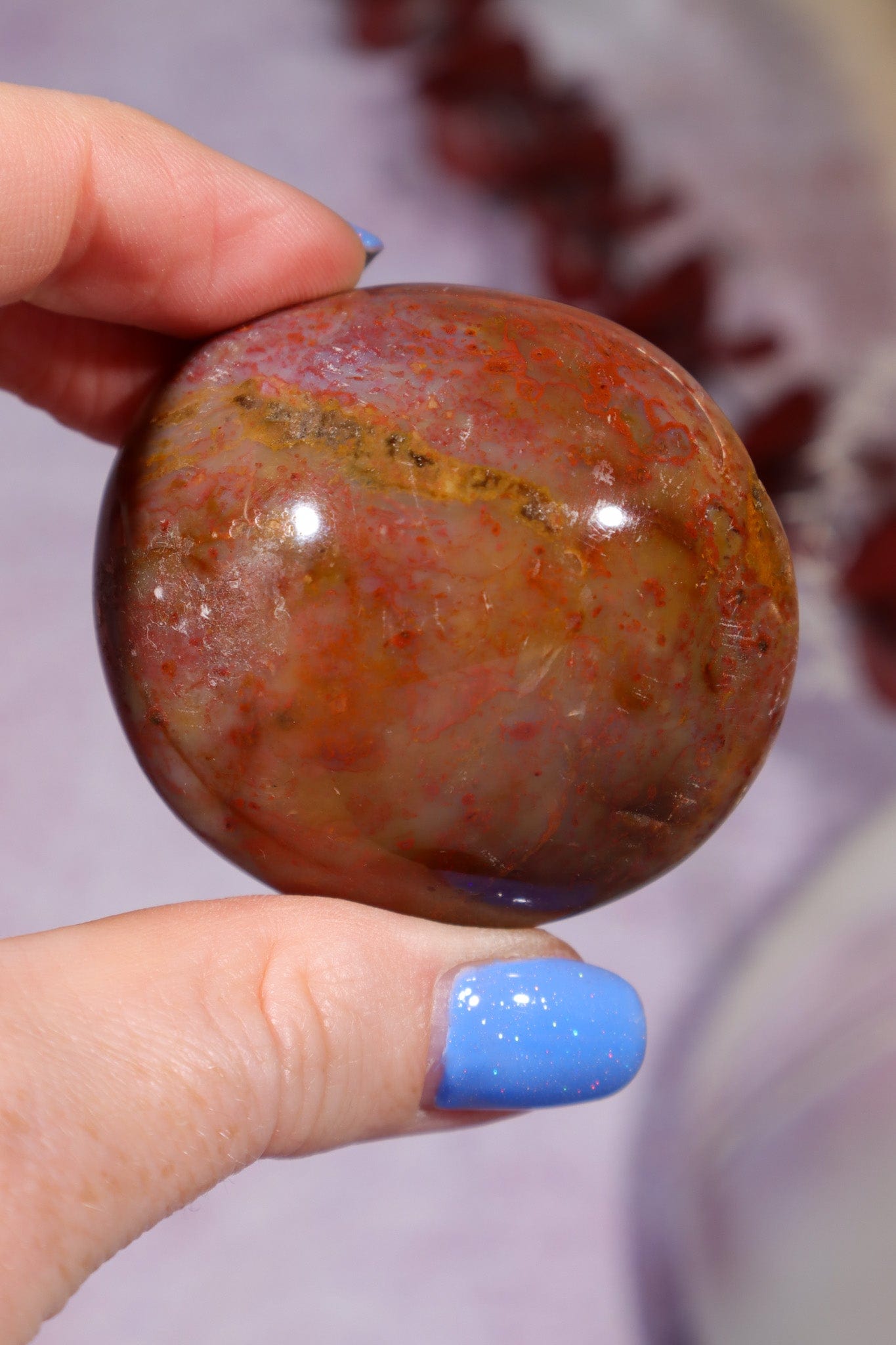 Petrified Wood Pebbles Large 80gr Pebbles Tali & Loz Crystals