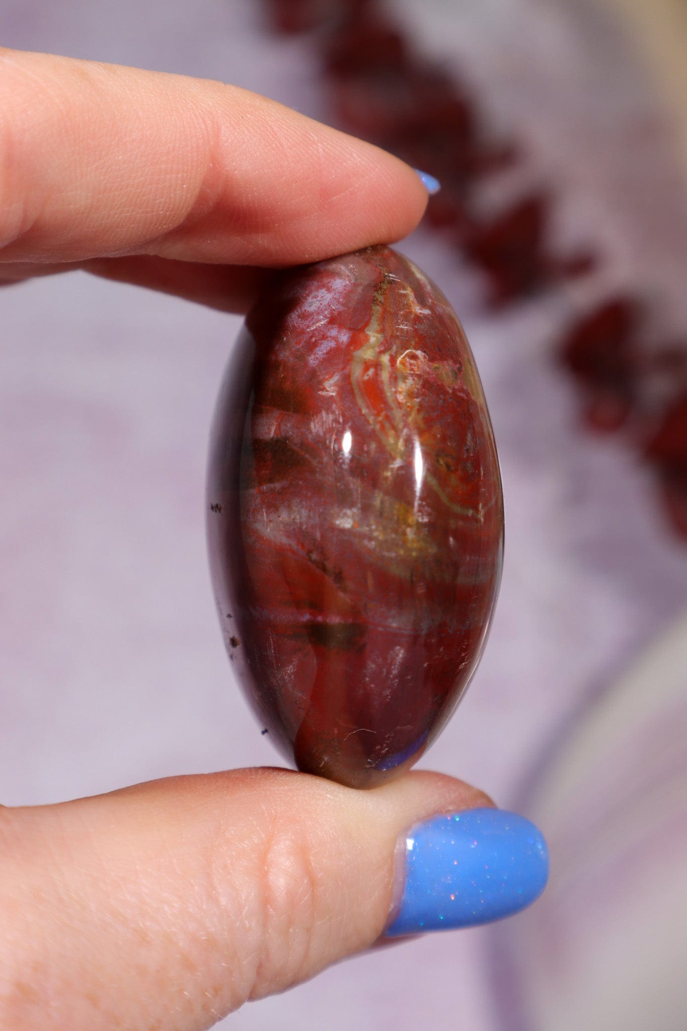 Petrified Wood Pebbles Large 80gr Pebbles Tali & Loz Crystals