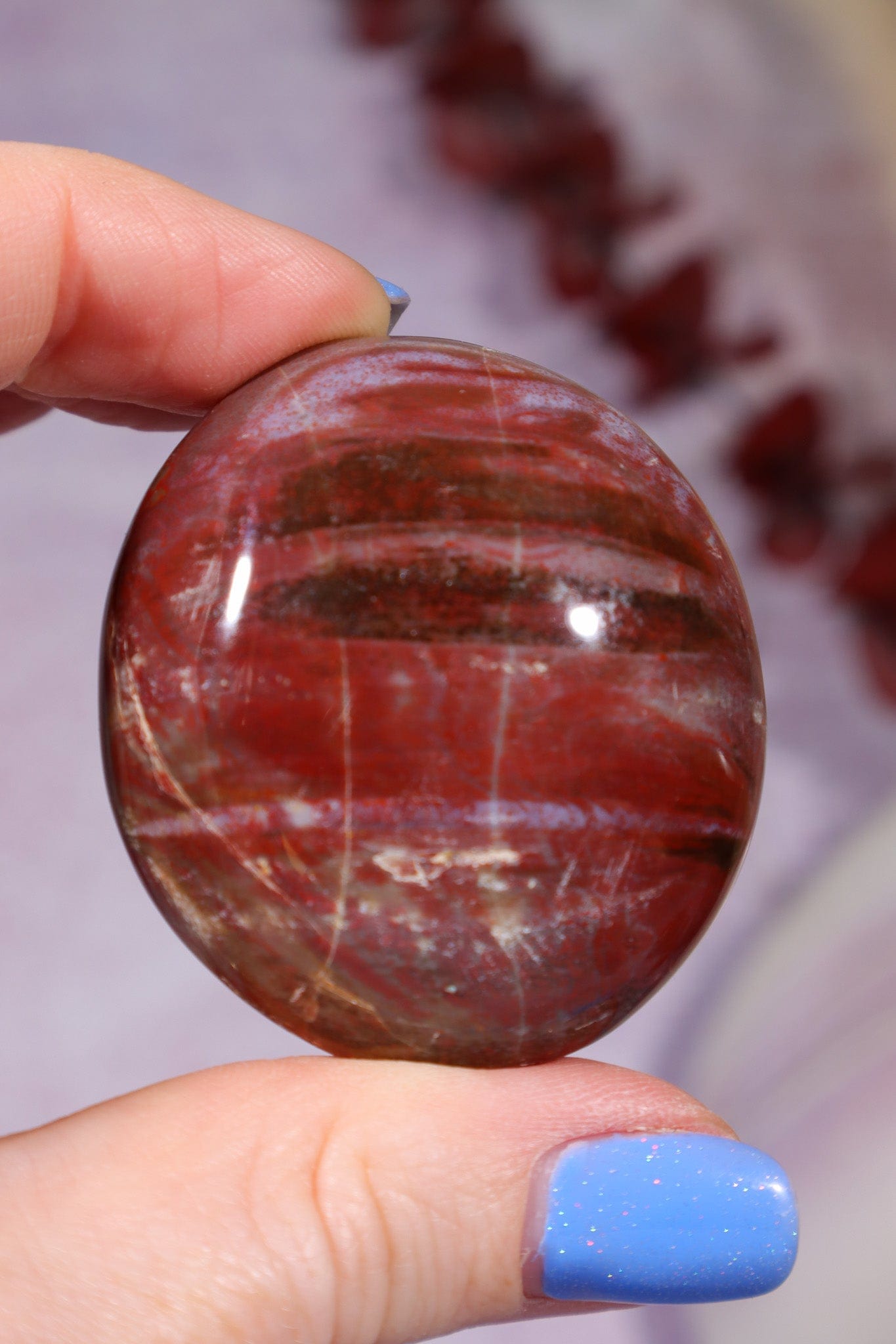 Petrified Wood Pebbles Large 80gr Pebbles Tali & Loz Crystals