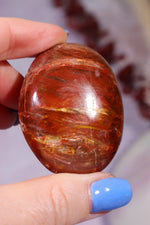 Petrified Wood Pebbles Large 80gr Pebbles Tali & Loz Crystals