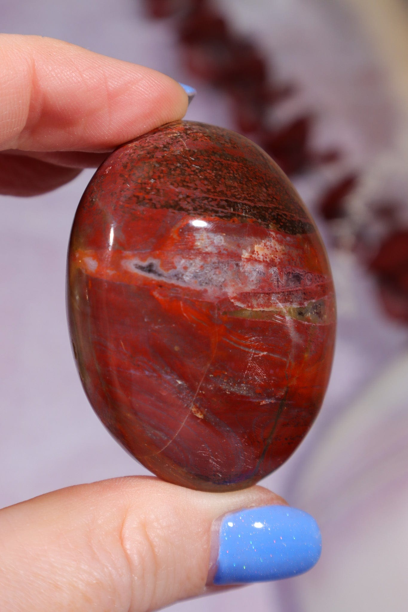 Petrified Wood Pebbles Large 80gr Pebbles Tali & Loz Crystals