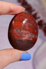 Petrified Wood Pebbles Large 80gr Pebbles Tali & Loz Crystals