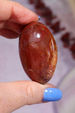 Petrified Wood Pebbles Large 80gr Pebbles Tali & Loz Crystals