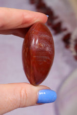 Petrified Wood Pebbles Large 80gr Pebbles Tali & Loz Crystals