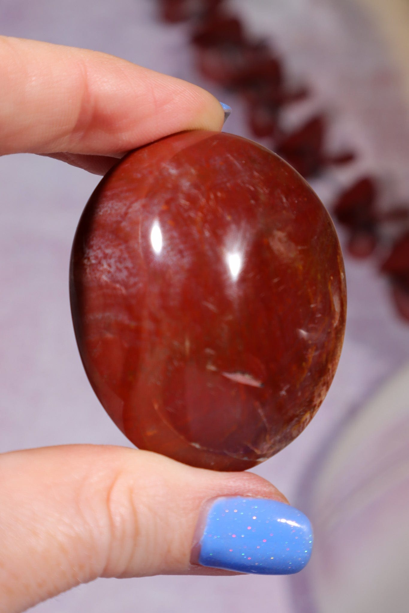 Petrified Wood Pebbles Large 80gr Pebbles Tali & Loz Crystals