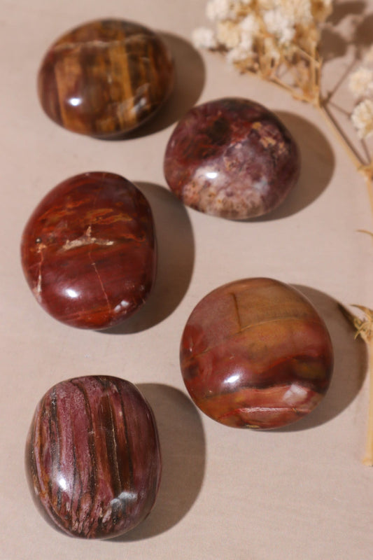 Petrified Wood Pebbles Small 50gr Pebbles Tali & Loz