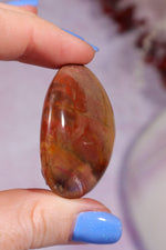 Petrified Wood Pebbles Small 50gr Pebbles Tali & Loz Crystals