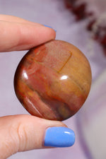 Petrified Wood Pebbles Small 50gr Pebbles Tali & Loz Crystals