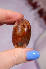 Petrified Wood Pebbles Small 50gr Pebbles Tali & Loz Crystals