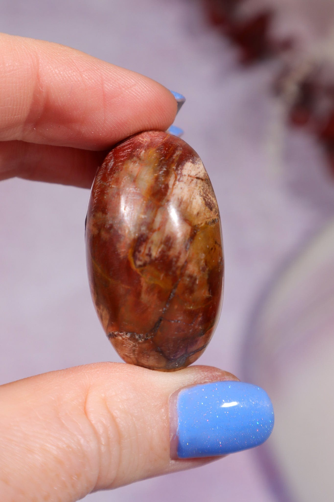 Petrified Wood Pebbles Small 50gr Pebbles Tali & Loz Crystals