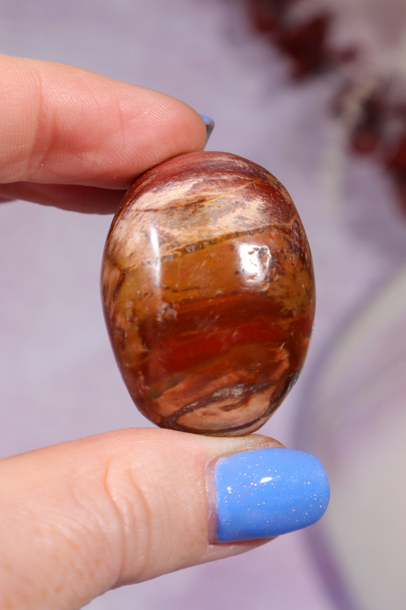 Petrified Wood Pebbles Small 50gr Pebbles Tali & Loz Crystals