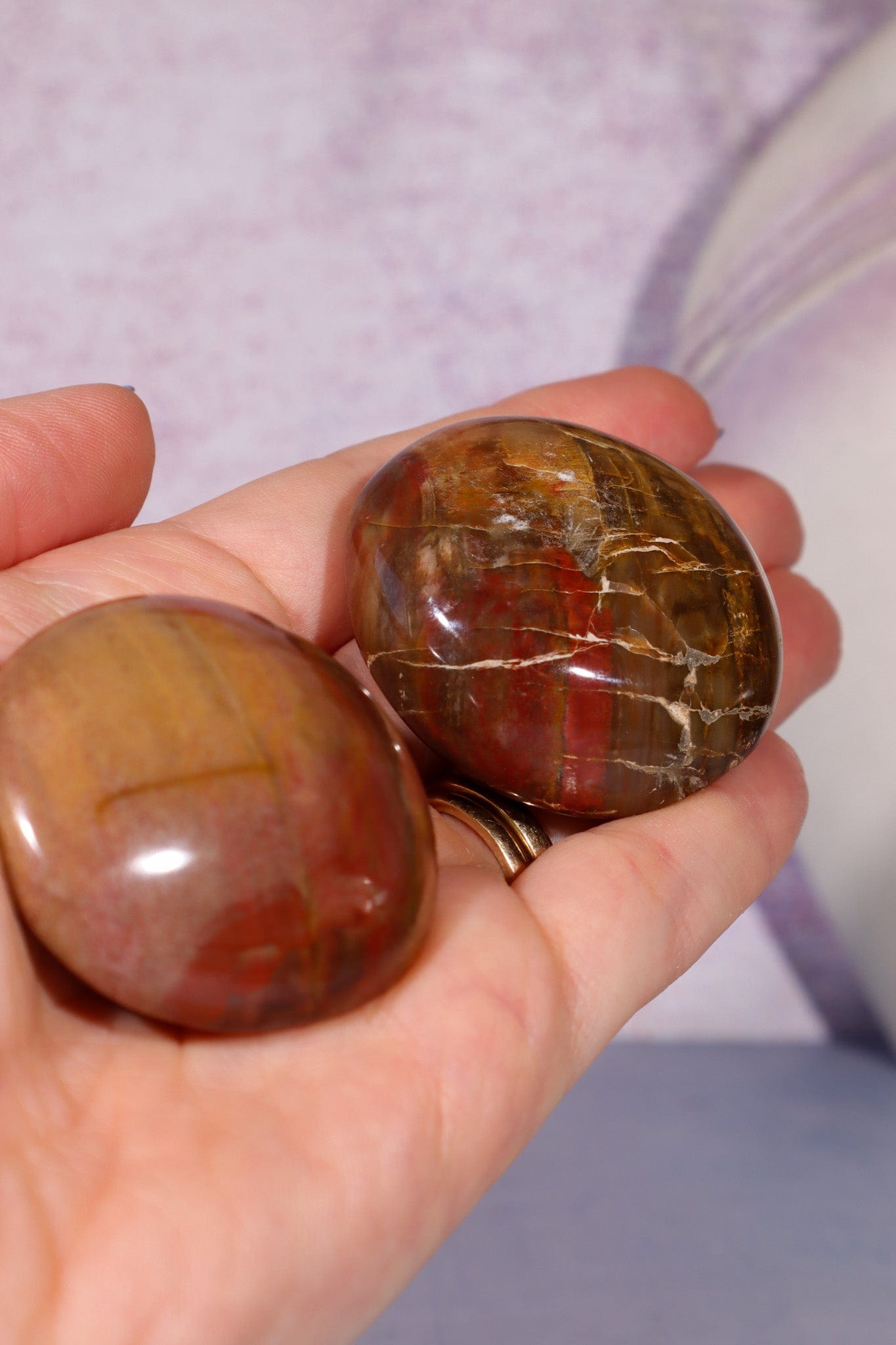 Petrified Wood Pebbles Small 50gr Pebbles Tali & Loz Crystals