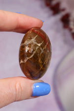 Petrified Wood Pebbles Small 50gr Pebbles Tali & Loz Crystals