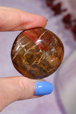 Petrified Wood Pebbles Small 50gr Pebbles Tali & Loz Crystals