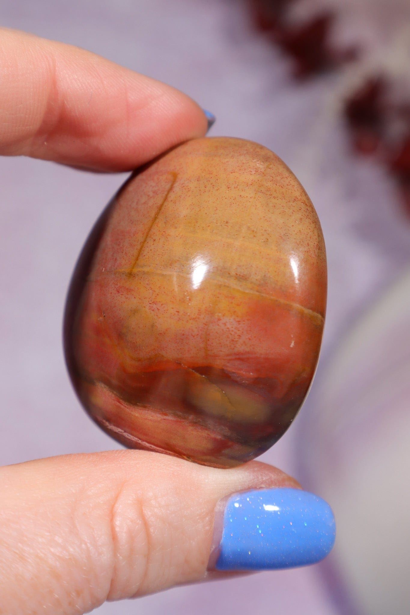 Petrified Wood Pebbles Small 50gr Pebbles Tali & Loz Crystals