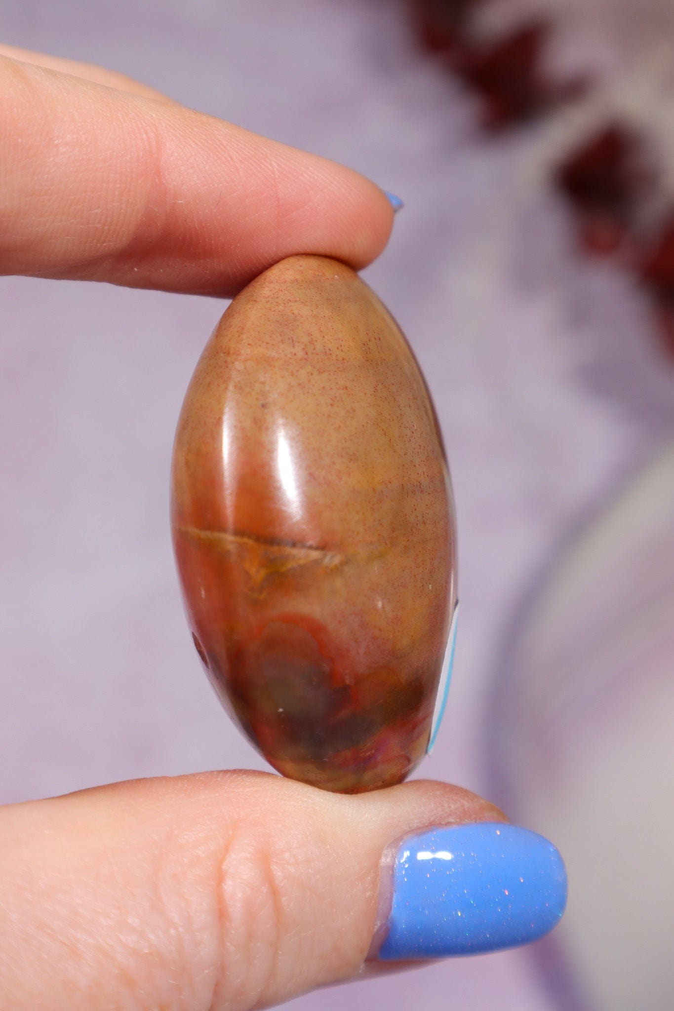 Petrified Wood Pebbles Small 50gr Pebbles Tali & Loz Crystals