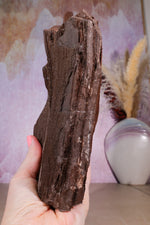 Petrified Wood Specimen | 250mm | Germany Petrified Wood Tali & Loz Crystals
