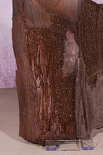 Petrified Wood Specimen | 250mm | Germany Petrified Wood Tali & Loz Crystals