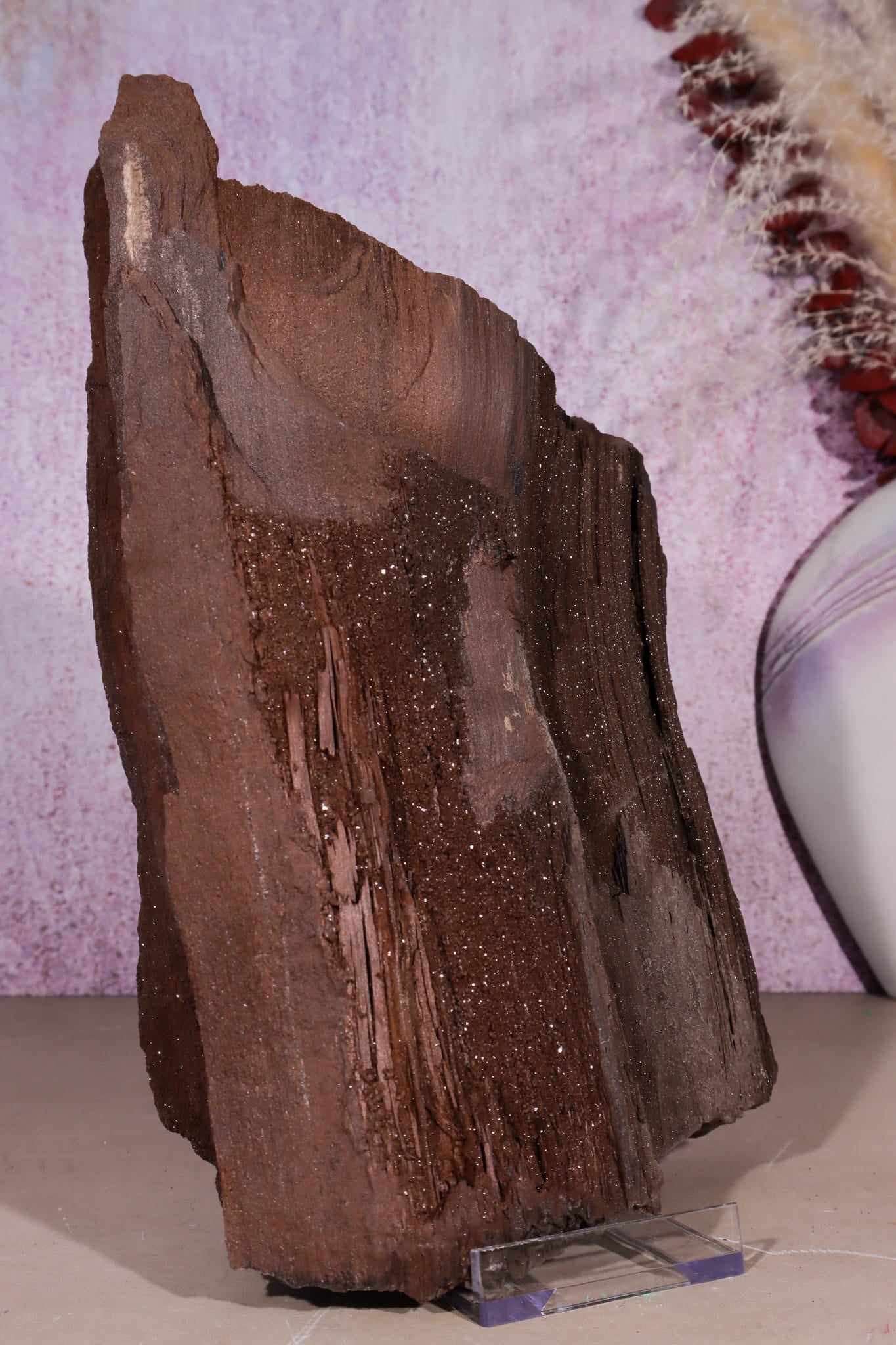 Petrified Wood Specimen | 250mm | Germany Petrified Wood Tali & Loz Crystals