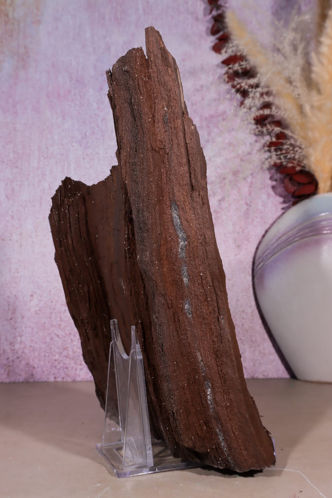 Petrified Wood Specimen | 250mm | Germany Petrified Wood Tali & Loz Crystals