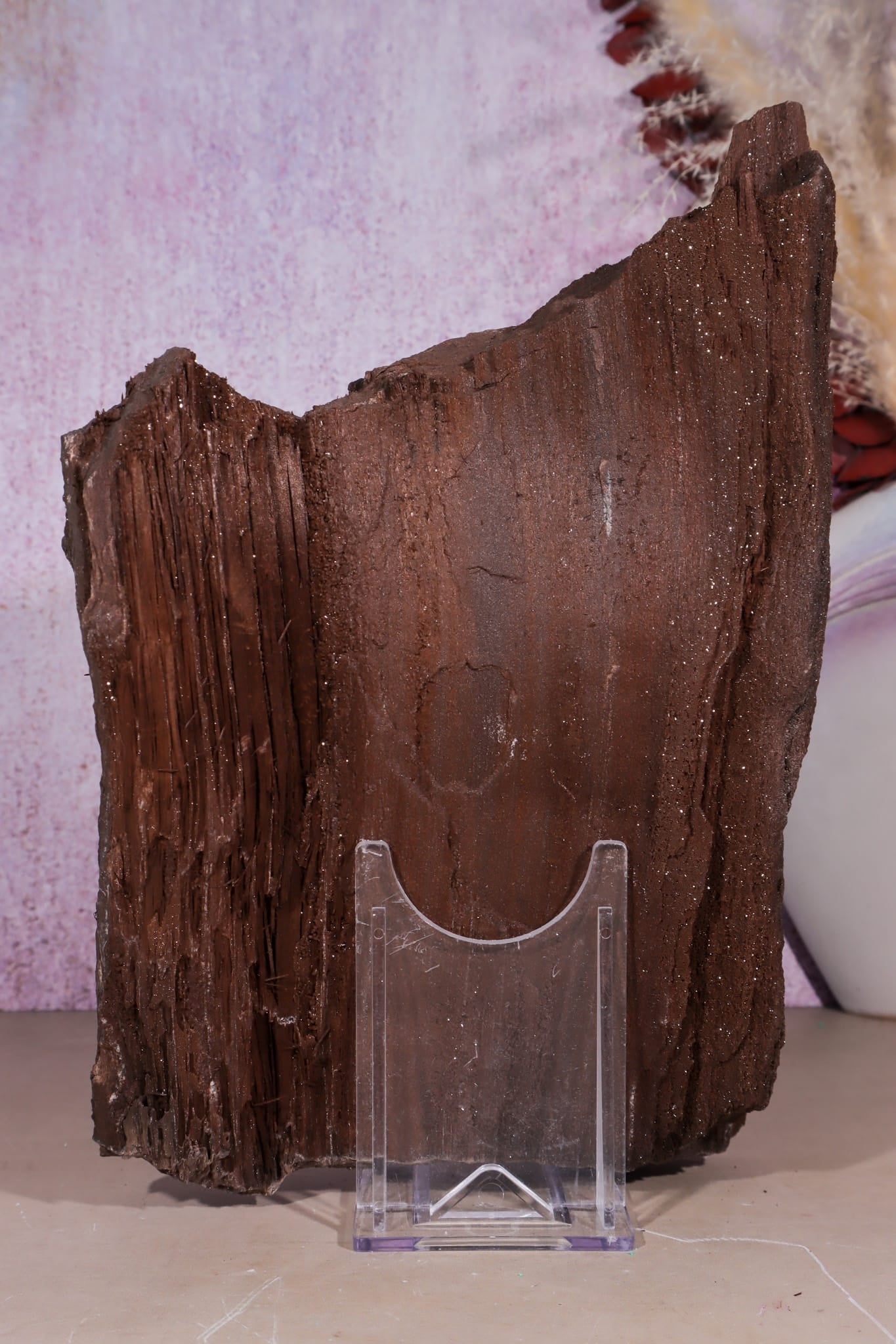 Petrified Wood Specimen | 250mm | Germany Petrified Wood Tali & Loz Crystals