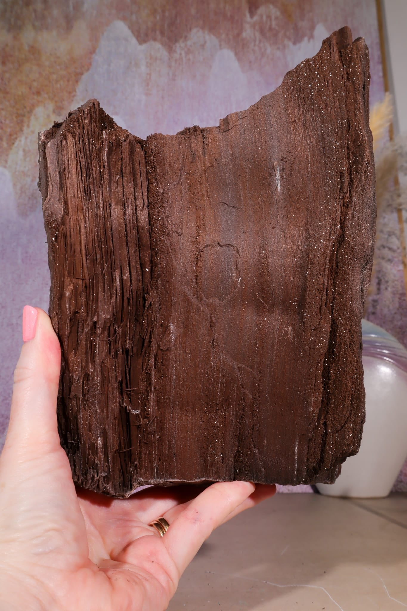 Petrified Wood Specimen | 250mm | Germany Petrified Wood Tali & Loz Crystals