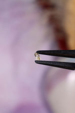 Petroleum Quartz Point | 5–10 mm | Madagascar Quartz Tali & Loz Crystals