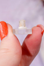 Phenakite 0.27g - Burma (Myanmar) Specimen Tali & Loz Crystals