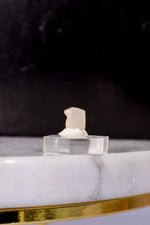 Phenakite 0.27g - Burma (Myanmar) Specimen Tali & Loz Crystals