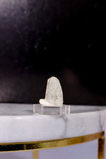 Phenakite 1.65g - Burma (Myanmar) Specimen Tali & Loz Crystals