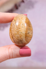 Pictured Jasper Egg 4cm - Tali & Loz Crystals