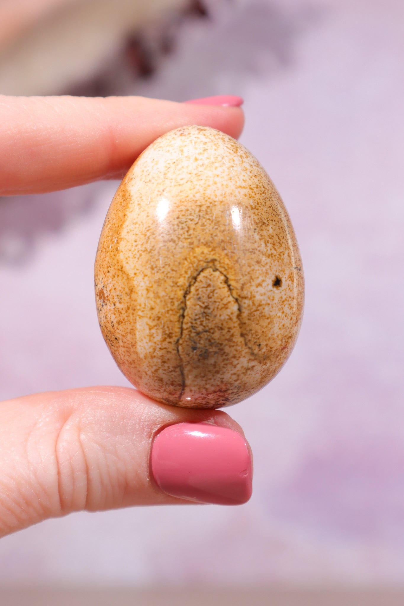 Pictured Jasper Egg 4cm - Tali & Loz Crystals