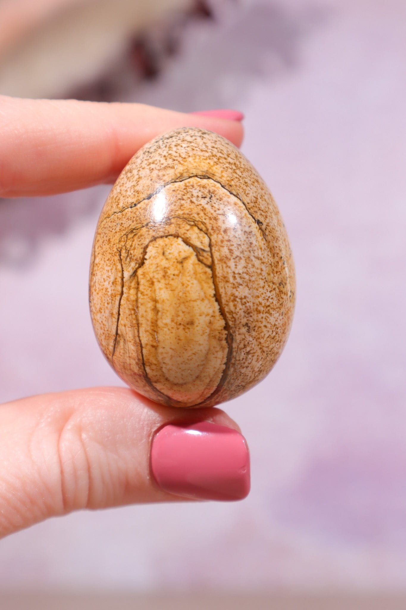 Pictured Jasper Egg 4cm - Tali & Loz Crystals