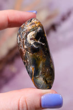 Pietersite Tumblestone 53.13gr - Tali & Loz Crystals