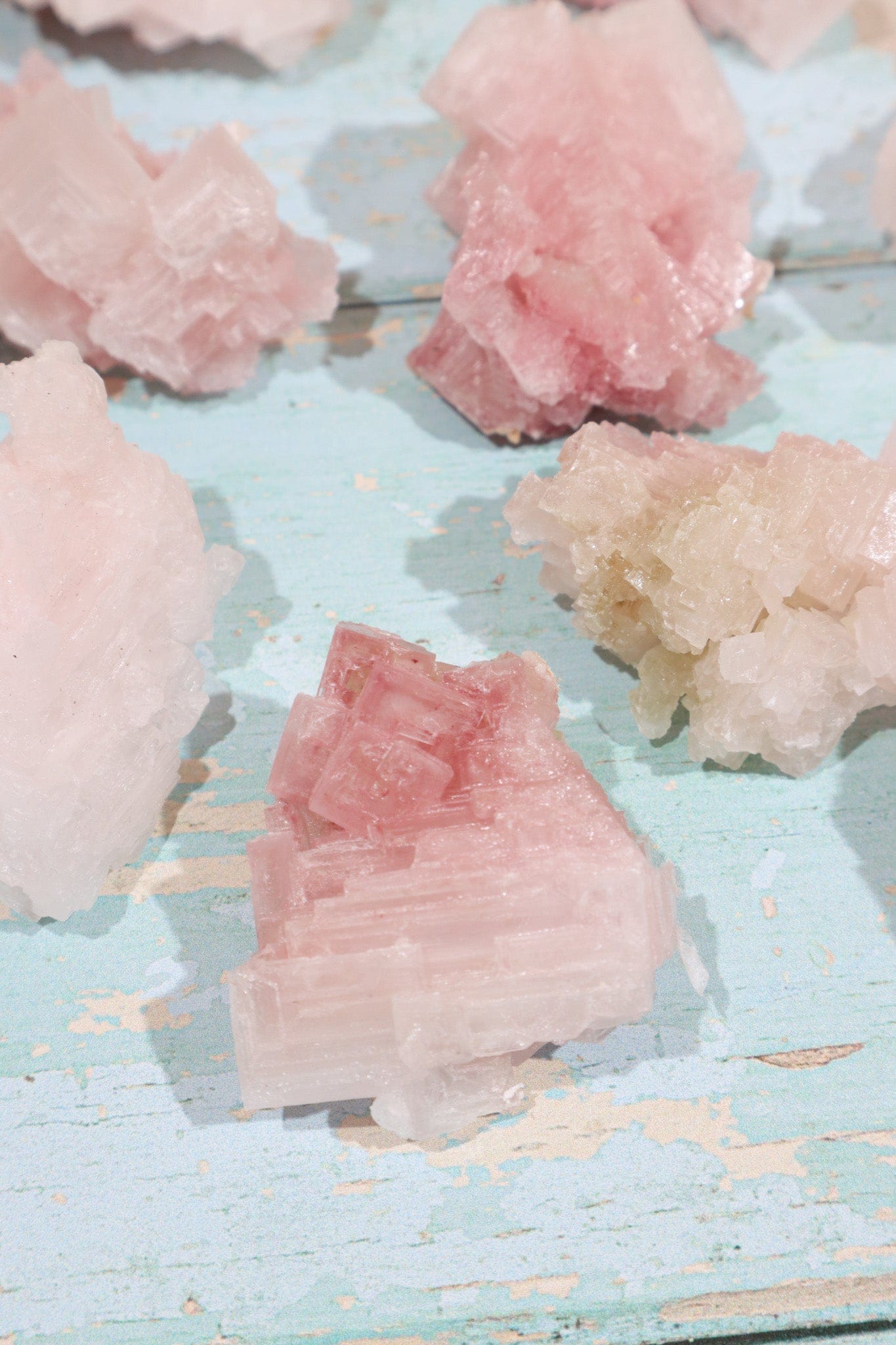 Pink Halite Medium 35-60gr Rough Crystals Tali & Loz Crystals