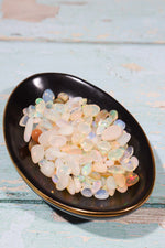 Polished Opal Pieces | Less Than 1 Gram Each | Intuitively Chosen Rocks & Fossils Tali & Loz Crystals