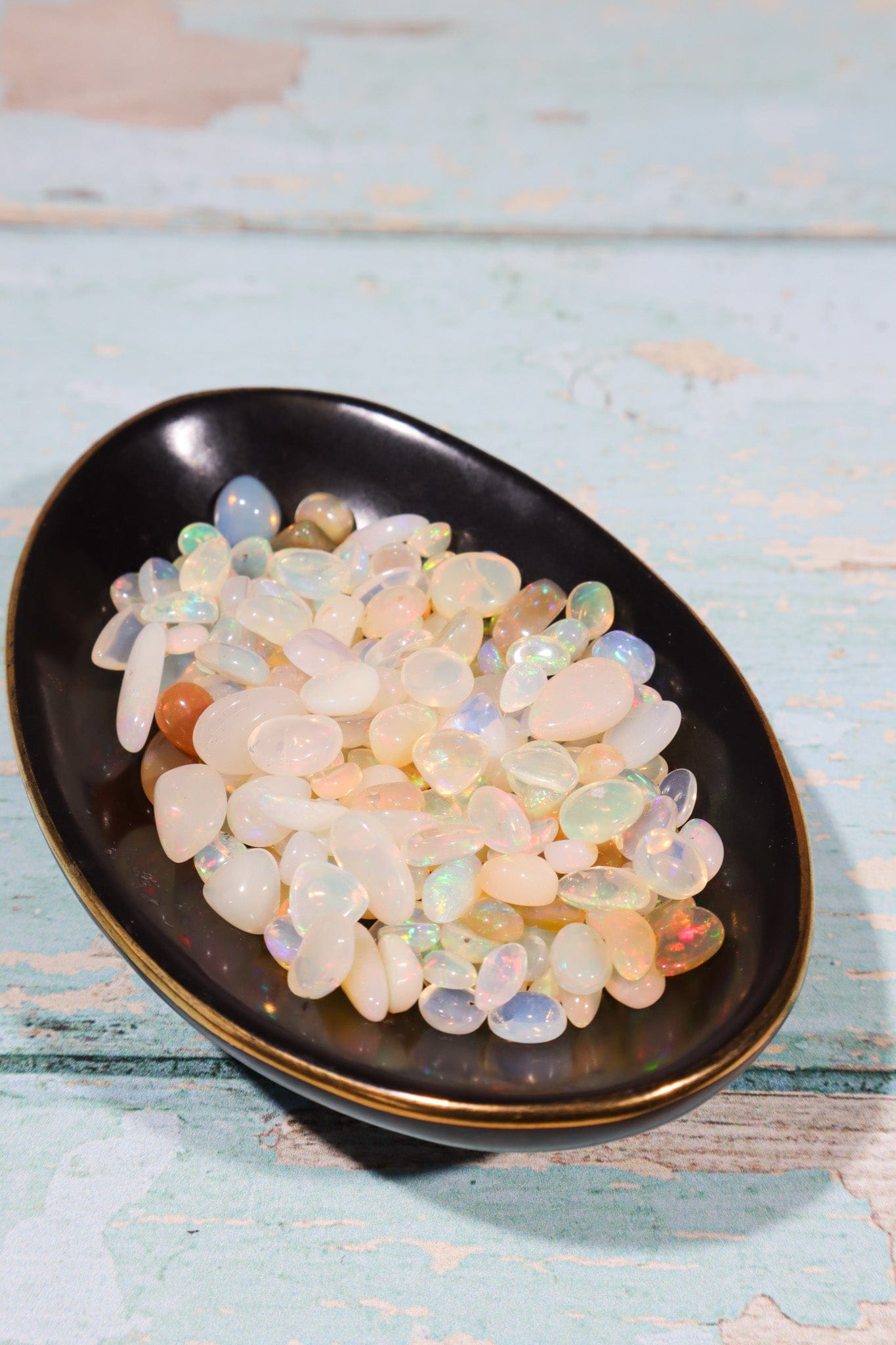 Polished Opal Pieces | Less Than 1 Gram Each | Intuitively Chosen Rocks & Fossils Tali & Loz Crystals